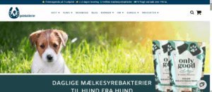 Godebakterier hjemmeside